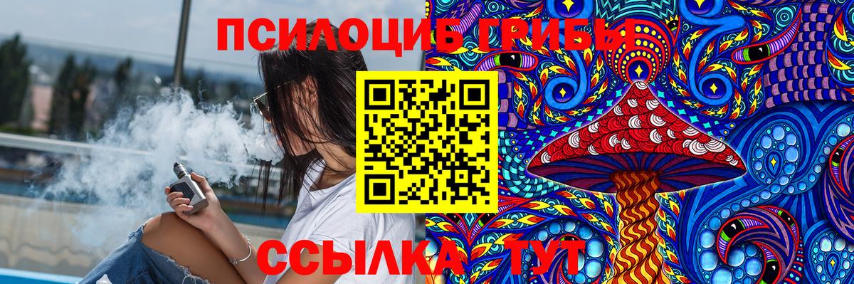 Вольск  купить наркоту  Вход с VPN  Галлюциногенные грибы мицелий 