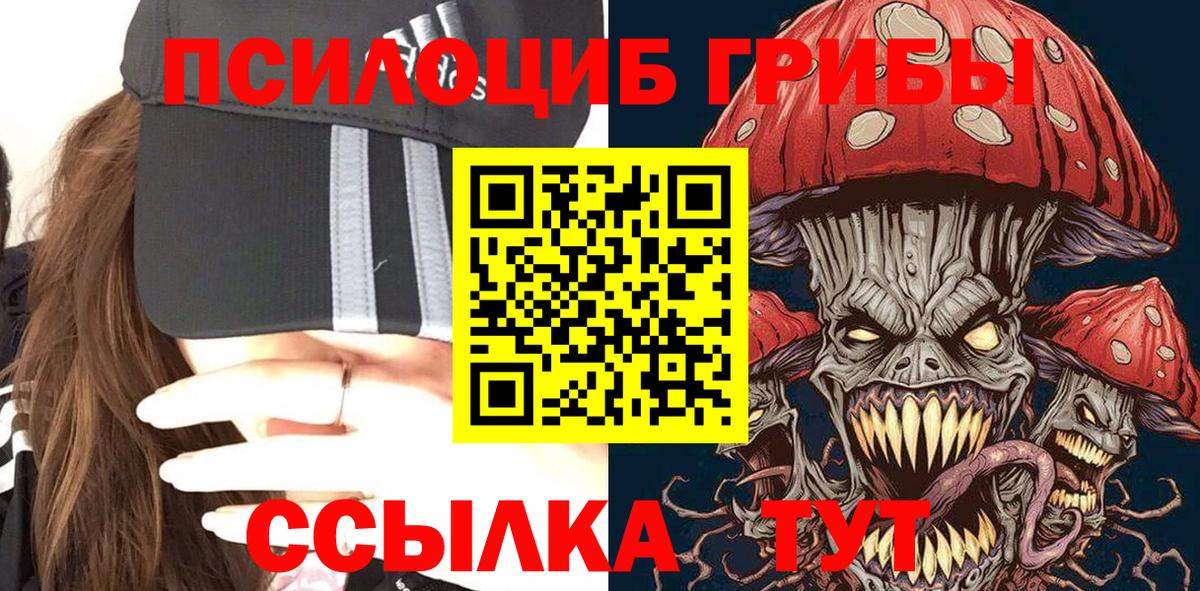 Галлюциногенные грибы Psilocybine cubensis Вольск